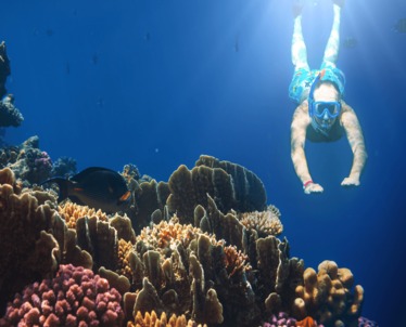 Visit in Queensland: The Ultimate Travel Guide for 2025