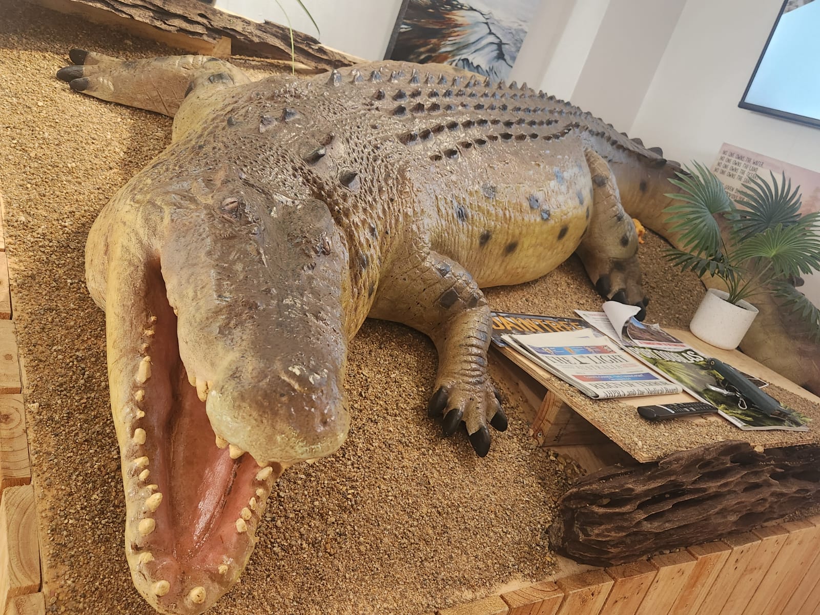 Hartley’s Crocodile Transfers