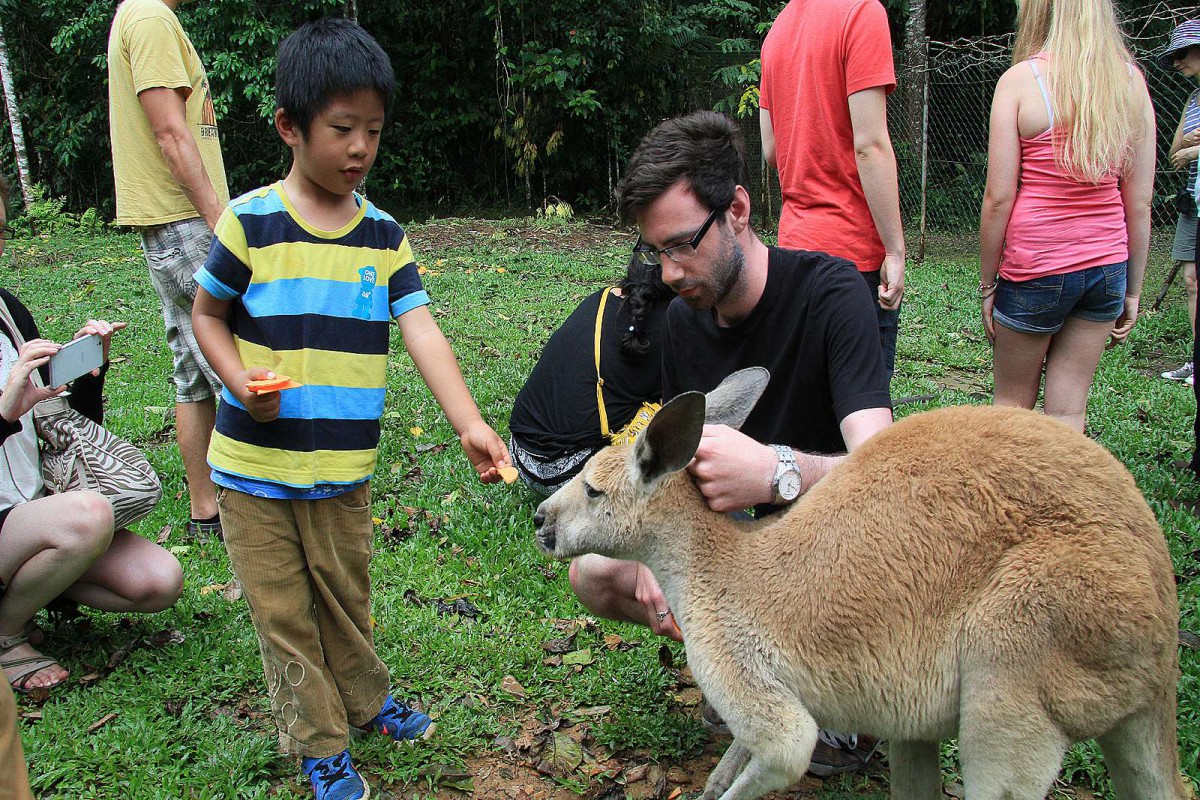 Cape Tribulation and 4WD Bloomfield Track Day Tour